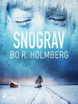 cover image of Snögrav